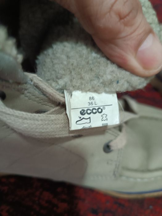 Экко оригинал аеллар сапоги