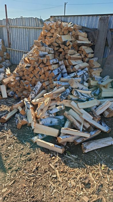 Дрова береза 20000
