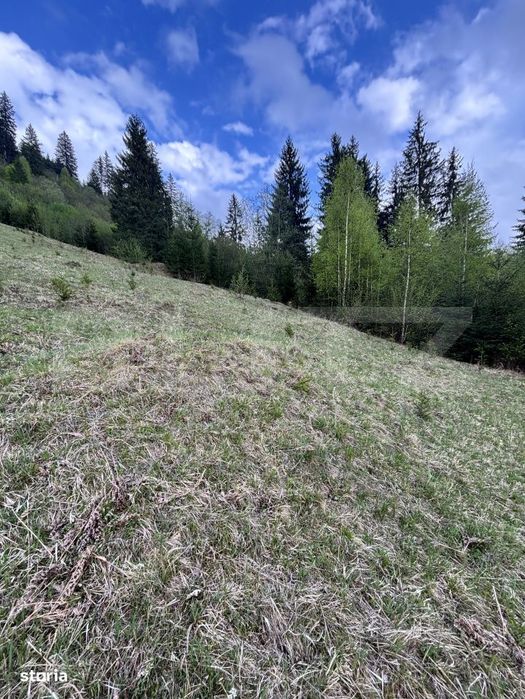 Teren extravilan, 2.8 ha, in zona Șandru, Campulung Moldovenesc
