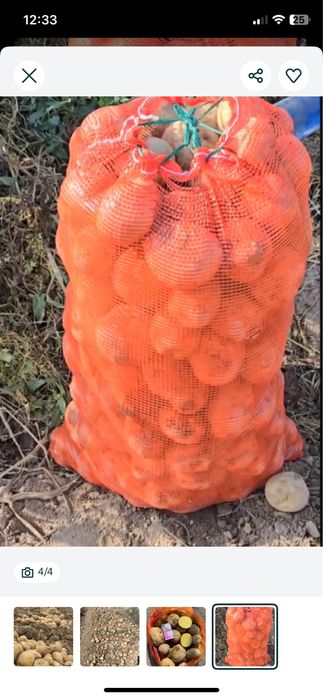 Картофель оптом сорт Ривьера