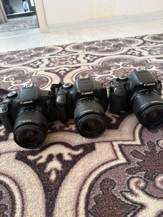 Аренда фотопарат