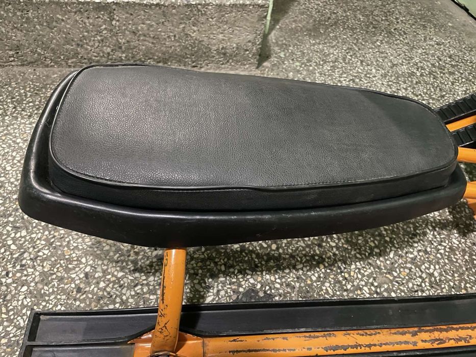 Шейна Снегокат/Аргамак