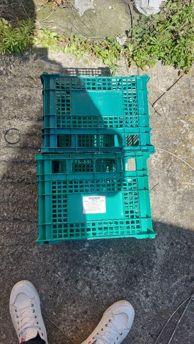 Продавам касетки куубчета зс съхранениена плодове и картофи,изгодни за