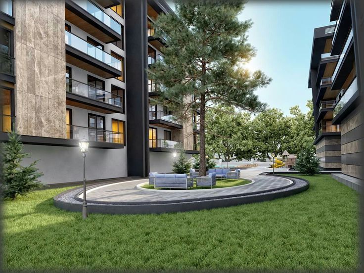 Газон экиш парааришлаш даволаш проект хизмати.