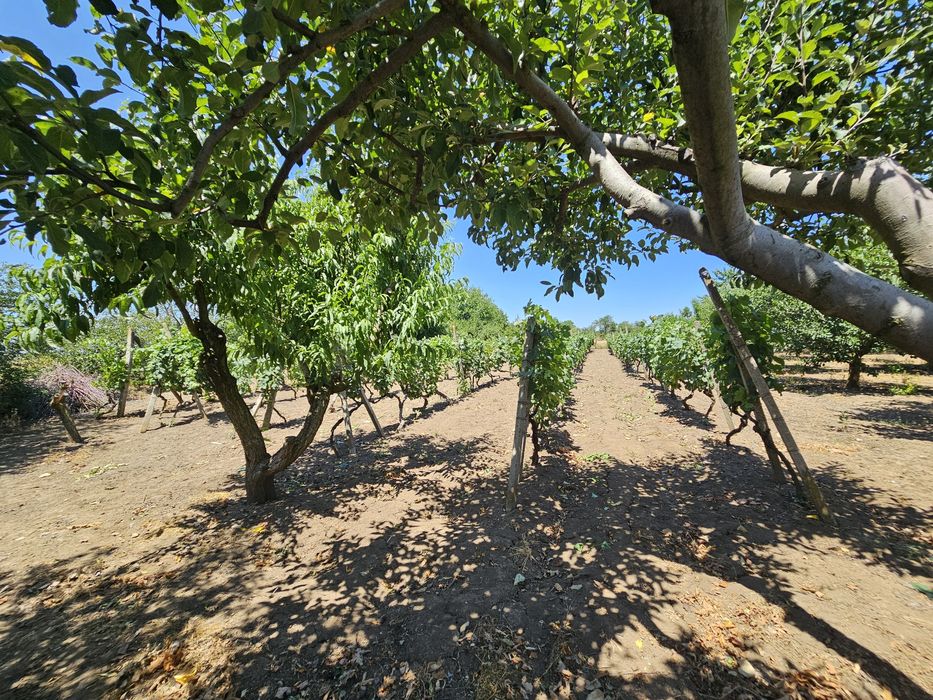 Продава се Къща в с. Мировци, Област Шумен - 90 кв.м за 522 €/кв.м - Снимка #13