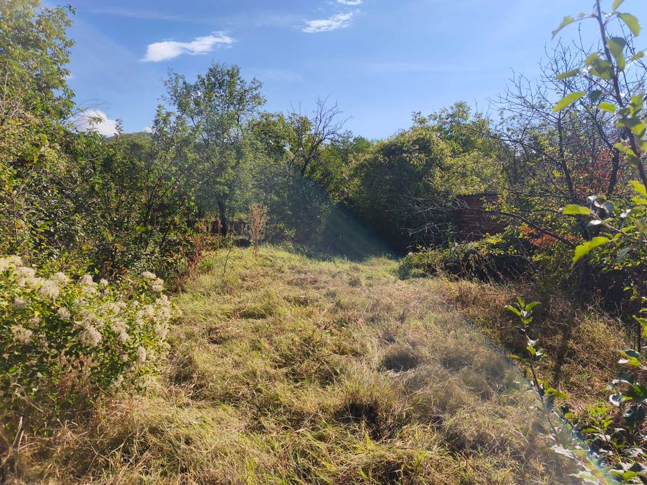 Къща с двор село Кръстевич