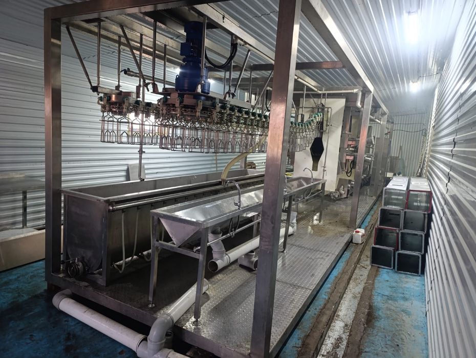 Убойная линия для куры