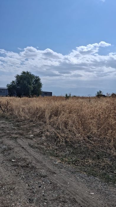 Срочно продам 2 участка