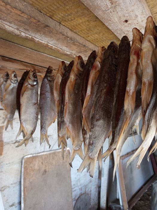 Продам валяние рыба