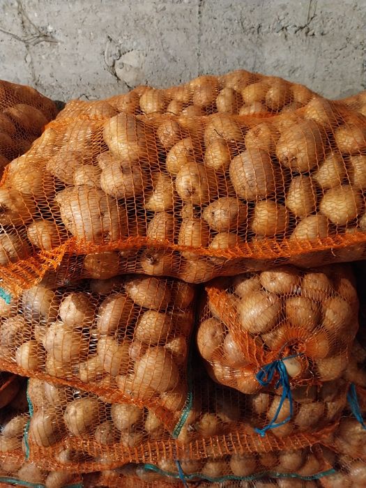 Vând Cartofi consum alb și roz