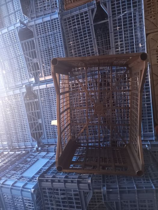 Lădițe de vînzare