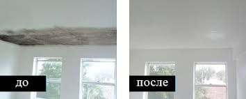 Удаления плесени и грибка без вреда для ремонта