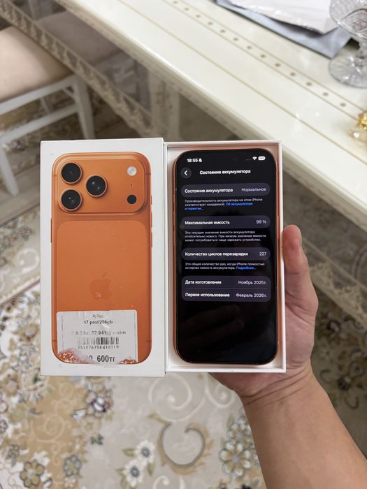 Срочно продам iphone 17 pro на 256 гб e-sim (акб 99%) в идеале
