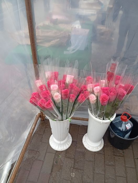 Балқашта Роза гүл сатылады