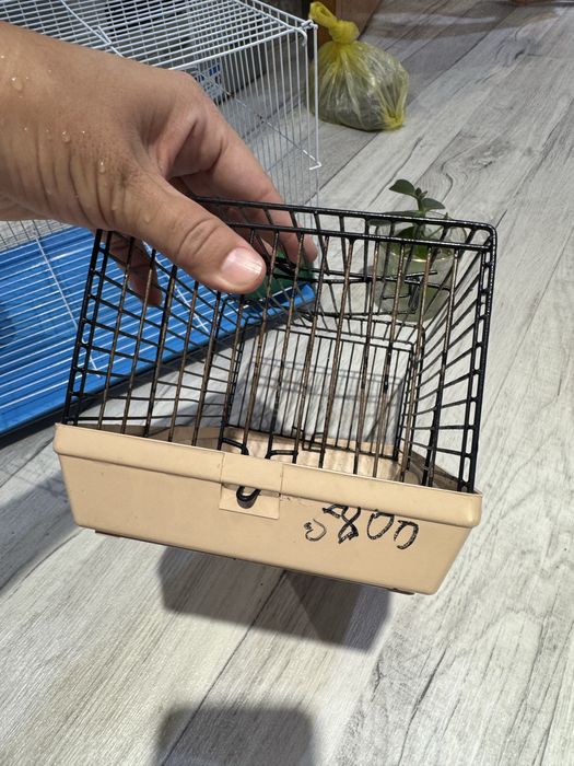 Продам клетку для джунгарских хомяков