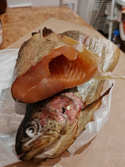 Вобла (Атырау) маласол с икрой