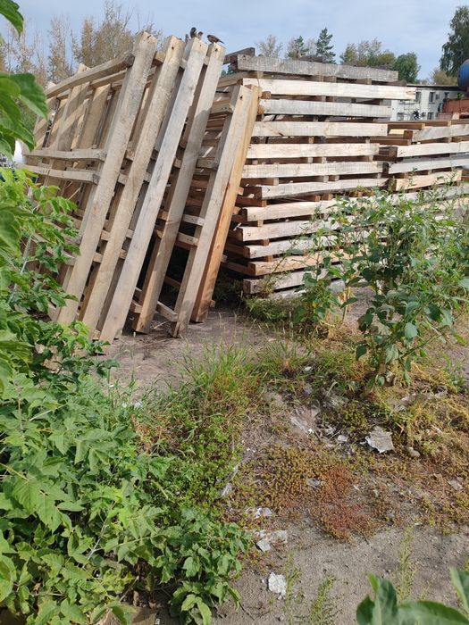 Продам бруски цена указана за все