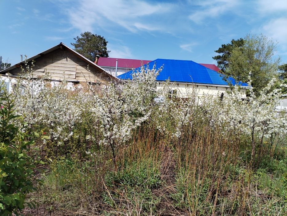 Продам дачный участок