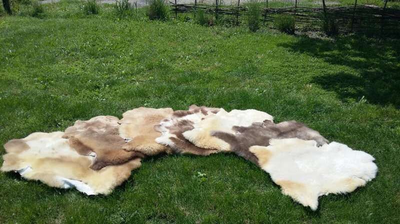 Естествени Агнешки кожи