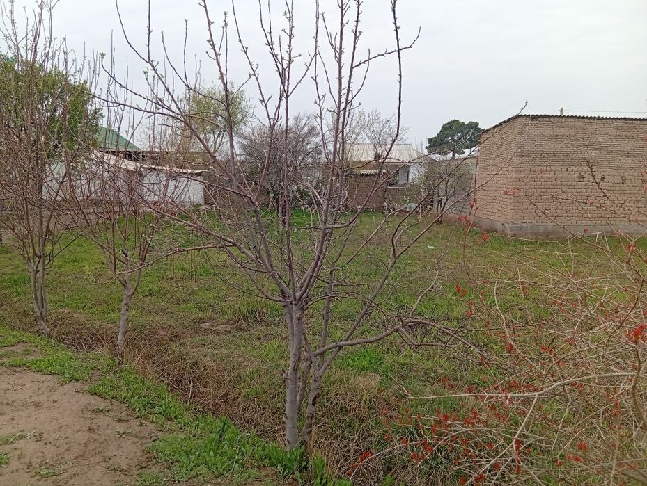 7 hona uy 23 sotix erli hovli sotiladi