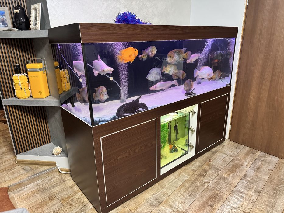 Два Оборудвани аквариума 650+125л с шкаф и риби