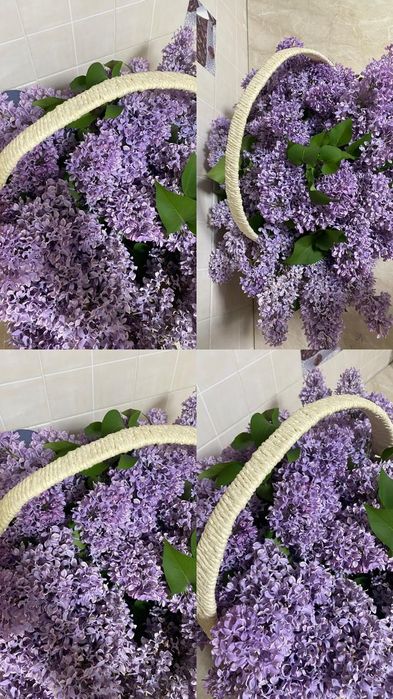 Сирень продается