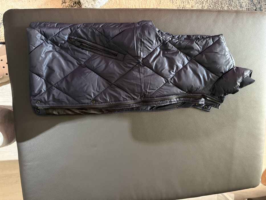 Vesta Zara barbati L