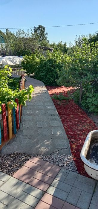 Продам дачу 1дачная общество Борки