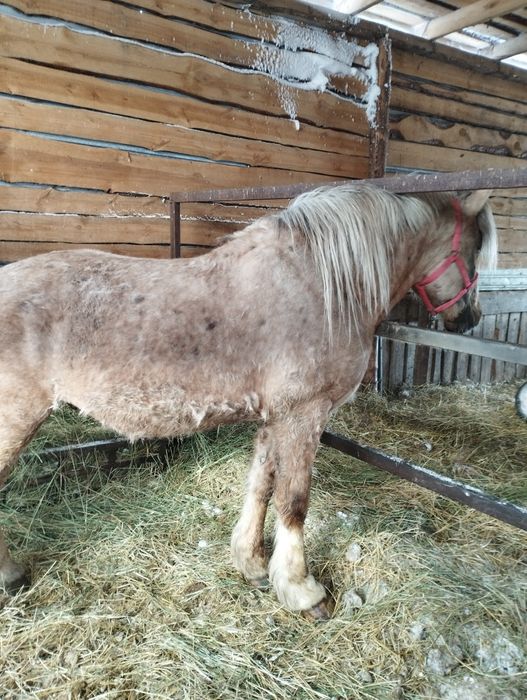 Атбасарский район