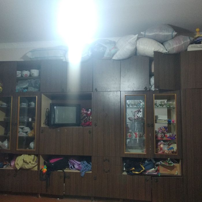 Mexmonxona stenkasi.