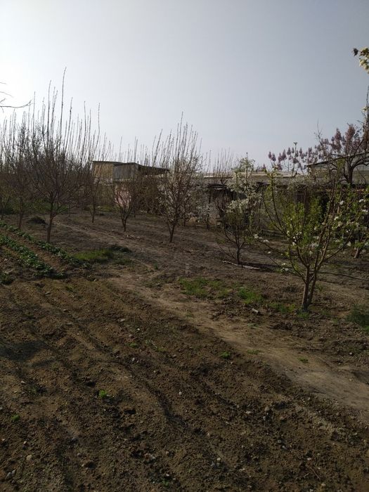 Xovli uy zudlik bilan sotiladi