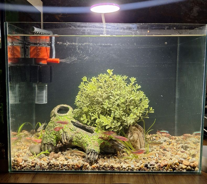 продам готовый аквариум (26л)