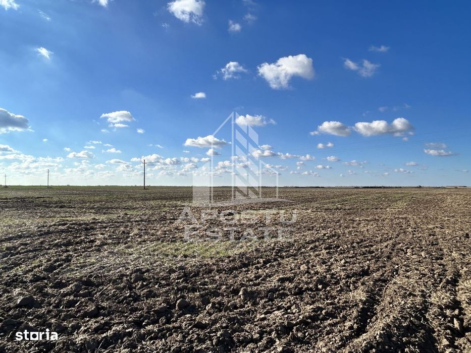 Teren 98.503 mp, intravilan, ideal parc fotovoltaic, Peciu Nou.