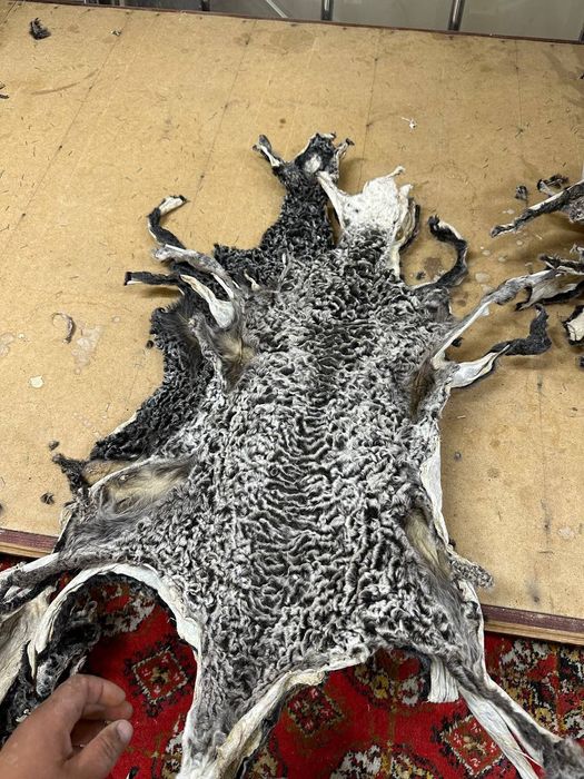 Антика терилар сотилади