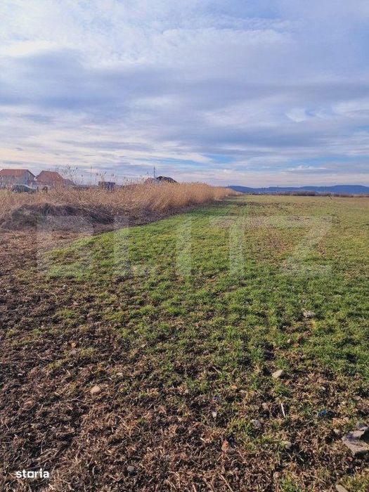 Teren intravilan, 8700mp,Prejmer