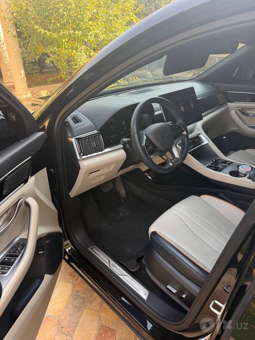 BYD chempion 2024