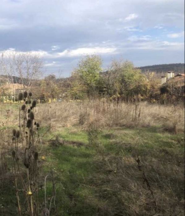 Продава се Парцел в с. Церова кория, Област Велико Търново - 1360 кв.м за 11 €/кв.м - Снимка #4