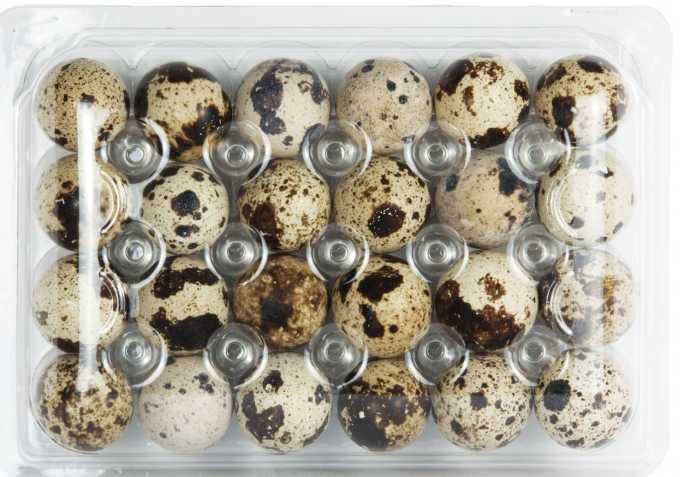 Vand oua de prepelita- Suceava