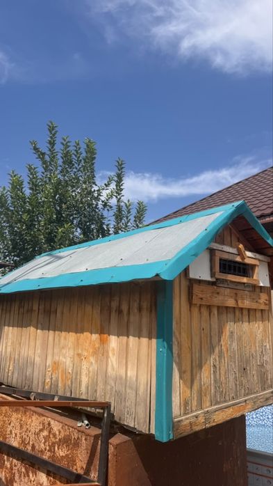 Продам бутку для гооубей или собак