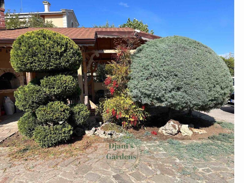 Косене на високи и ниски треви, поддръжка на градини, изграждане