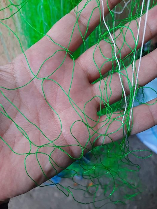 Plase de pescuit de ata