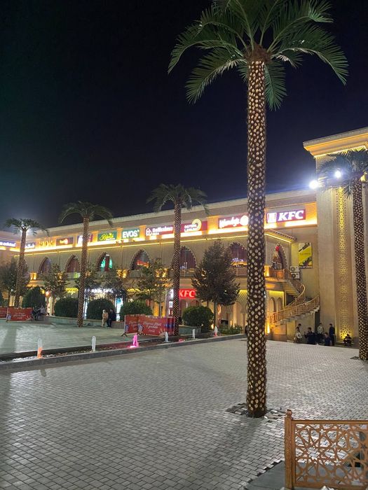 Андижонда сунний пальмалар