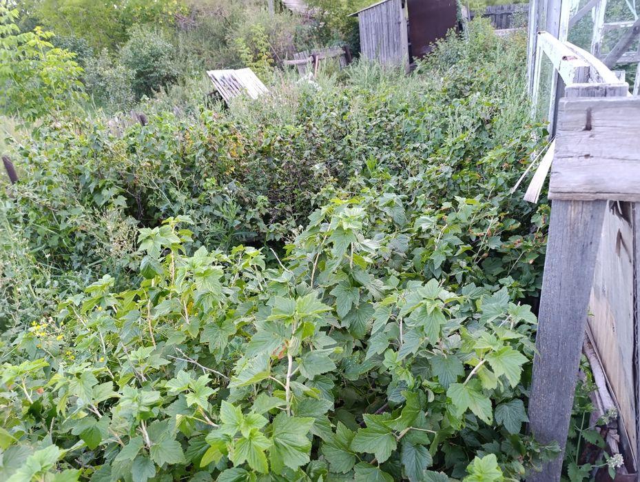 Продаётся дача на федоровке