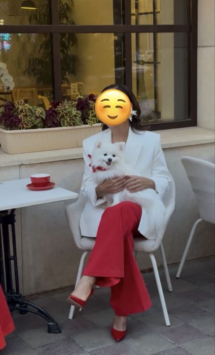 Вязка немецкого шпица