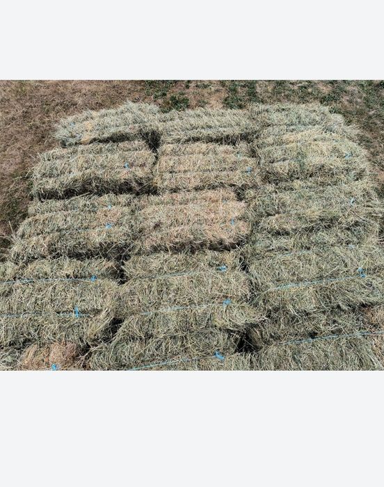 De vânzare 100 baloți