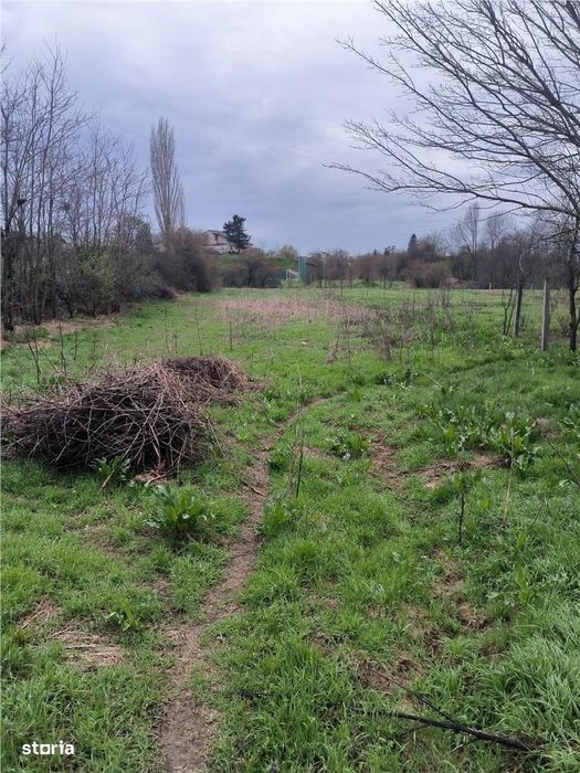 Ocazie!Teren Buturugeni,intre case,intrare din asfalt,,utilitati aprop