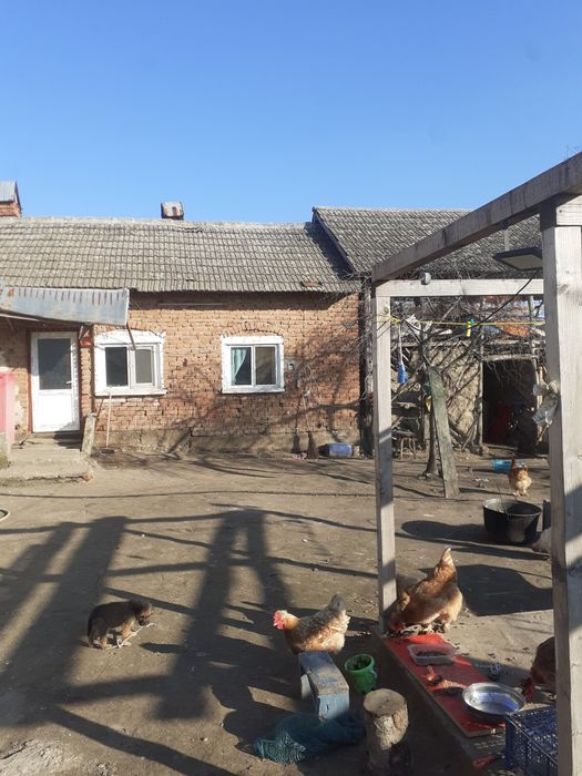Casa de vanzare OSTROVENI URGENT