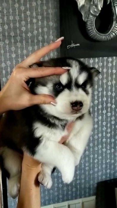 Мальчик с ярко голубыми глазками