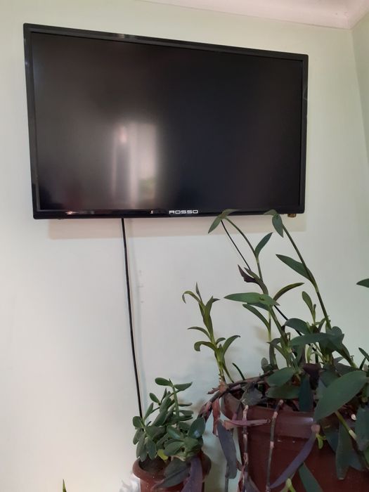 Televizor Rosso 32