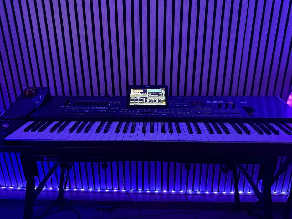 Vand Korg pa4x Professional